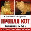 Аватара пользователя