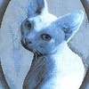 Аватара пользователя