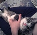 Аватара пользователя
