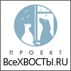 Помощь бездомным животным. Проект ВсеХвосты.ru
