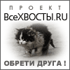 Помощь бездомным животным. Проект ВсеХвосты.ru