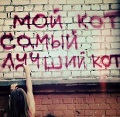 Аватара пользователя