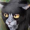 Аватара пользователя