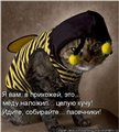 Аватара пользователя