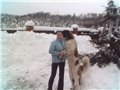 Аватара пользователя