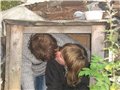 Аватара пользователя