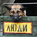Аватара пользователя
