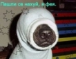 Аватара пользователя