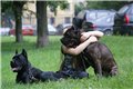 Аватара пользователя